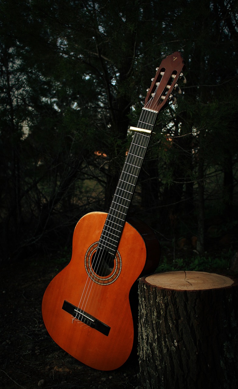 découvrez l'art du fingerstyle, une technique de guitare captivante qui permet de créer des mélodies complexes et des harmonies riches. apprenez les bases, explorez des tutoriels et inspirez-vous des performances d'artistes renommés pour maîtriser cet élégant style musical.